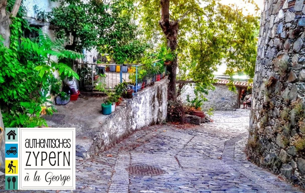 Isminis Petroktisto Holidays Stonehouse Palechori المظهر الخارجي الصورة